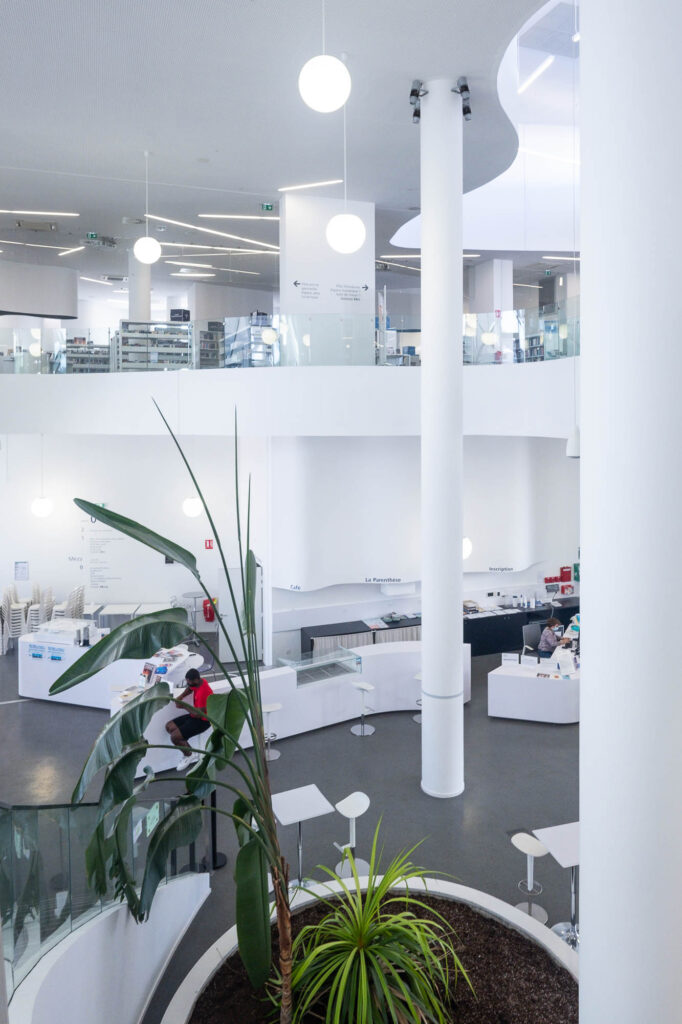 Interior of a contemporary library with white curving walls. The interior is mostly white, contrasted only with large green plants in the foreground.
