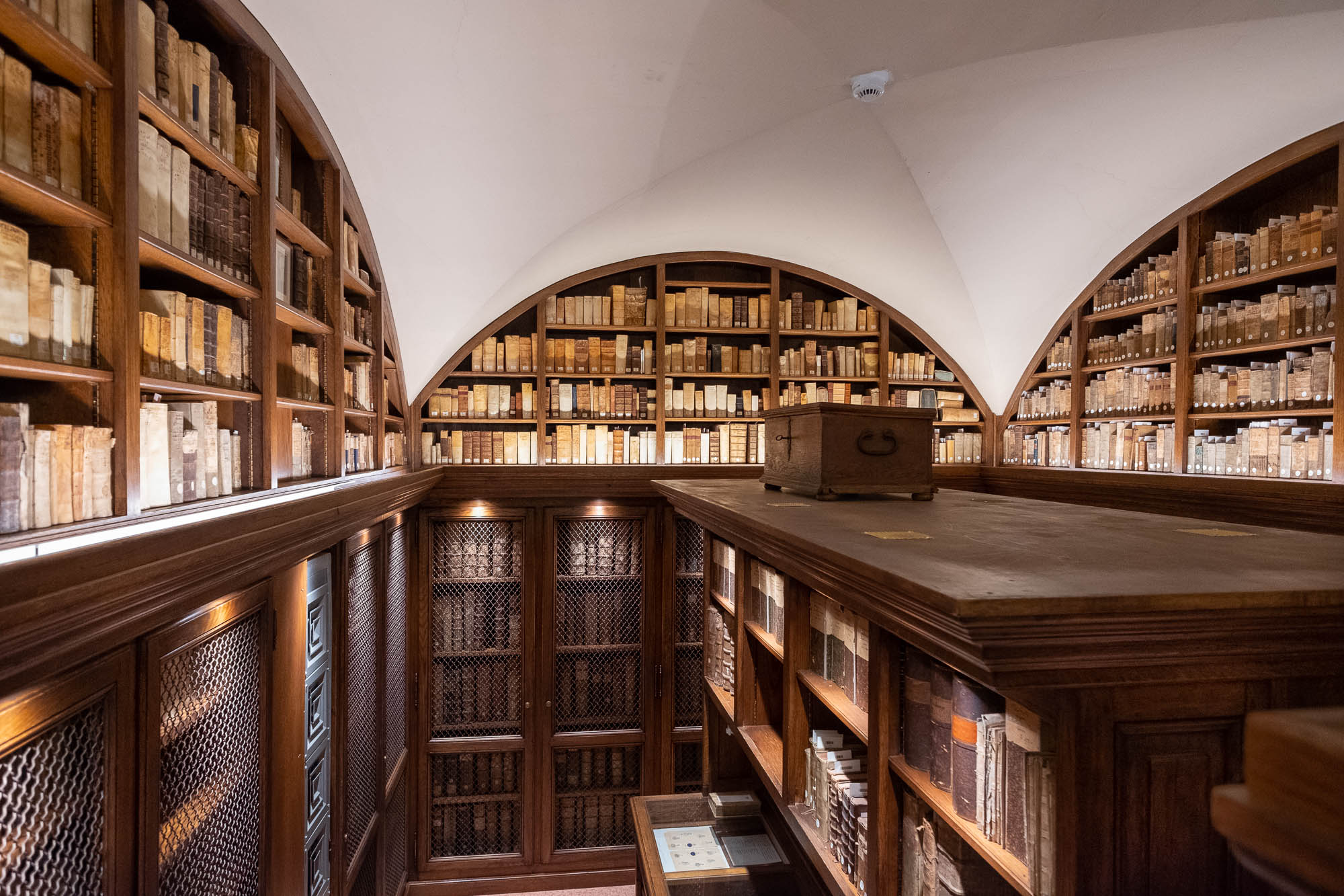 Interior of a rare book library with dark wood shelves filled with precious volumes behind protective netting. The shelves are rounded at the top to fit with the vaulted space.