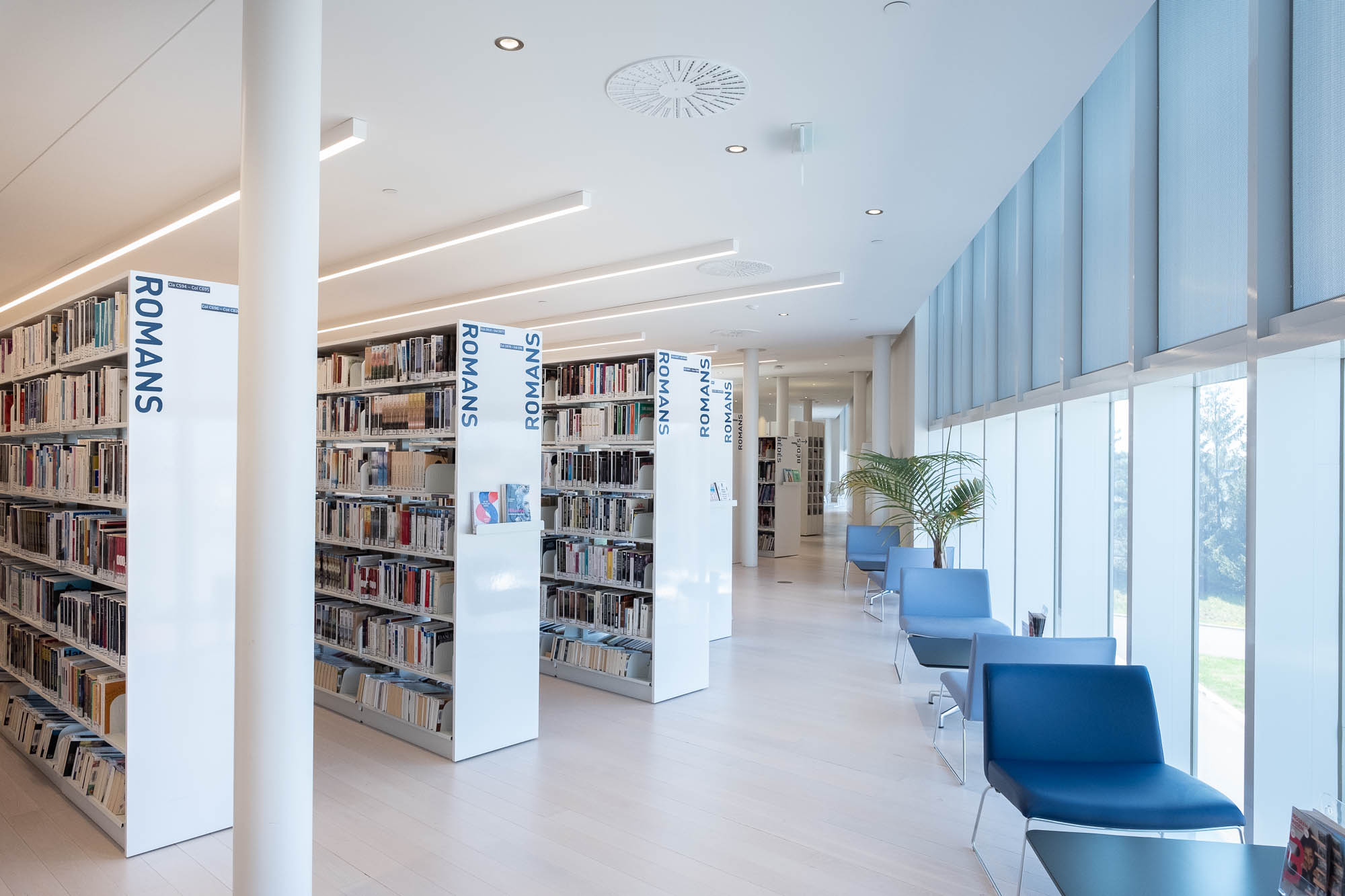 Interior of a contemporary library, with rows of bookshelves to the left and seating along a window to the right.