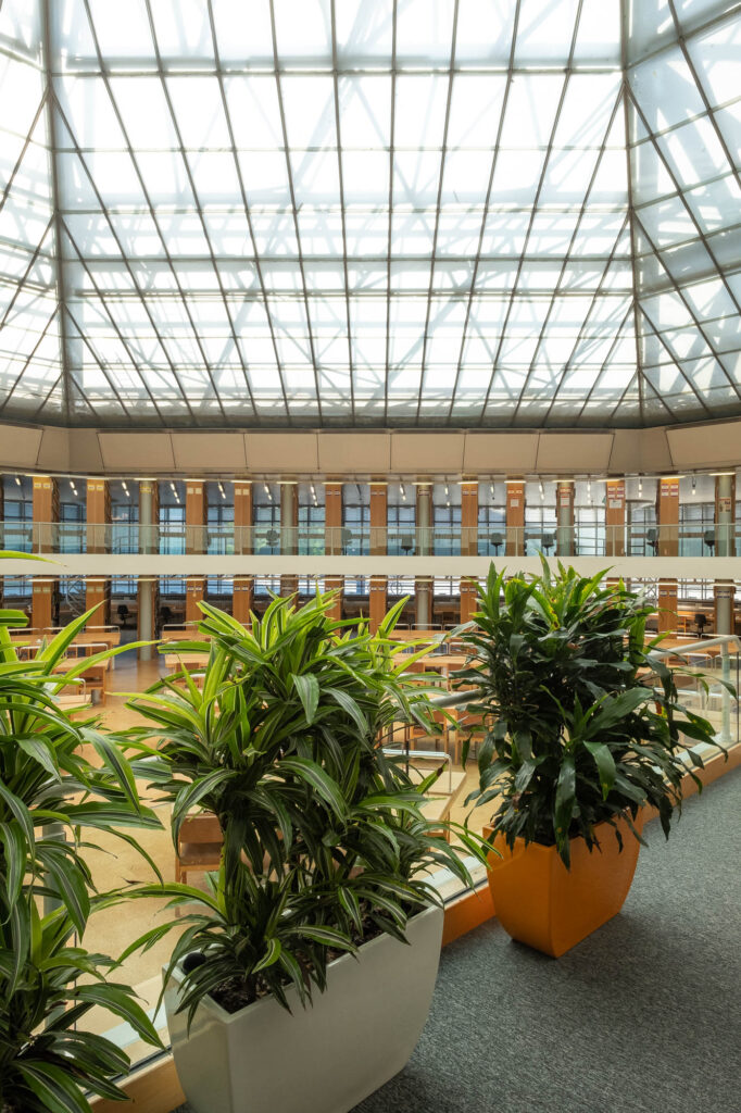 Interior of a modernist library, showing a large reading room topped with a glass roof. There are potted plants in the foreground.