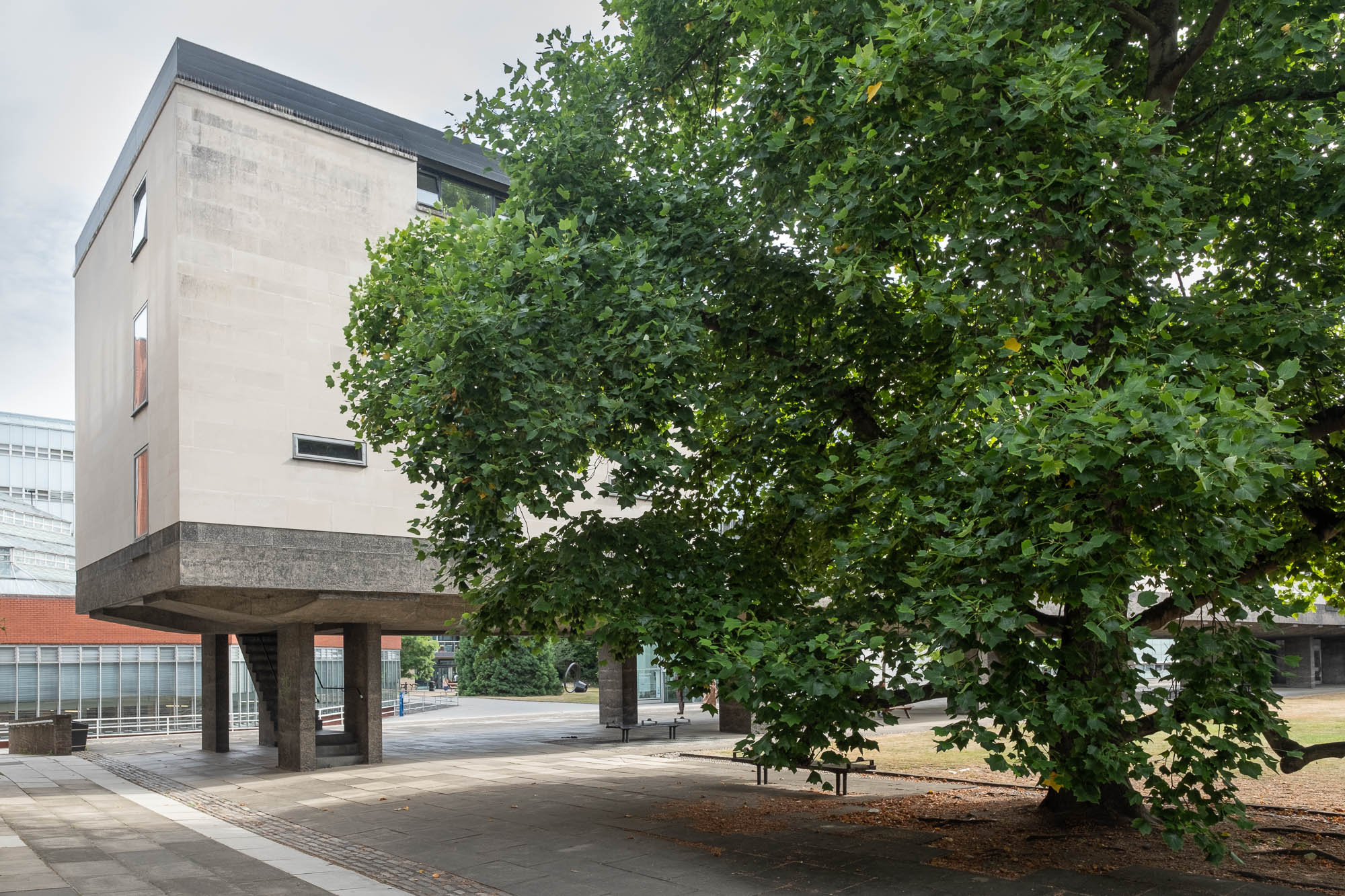 Exterior of a modernist university building, a three-storey structure on concrete stilts with a large tree in the foreground.