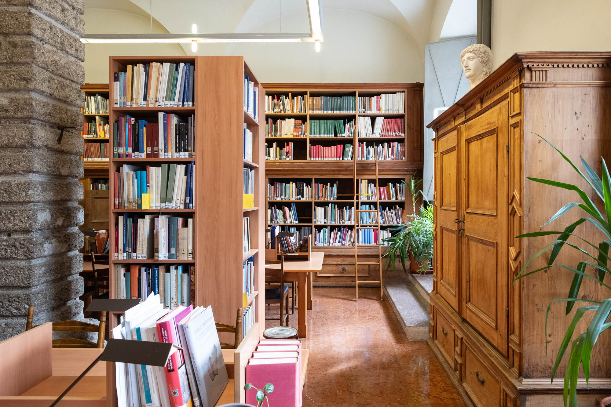 Interior of a library inside a Renaissance palazzo, a vaulted room with high bookshelves and heavy rusticated stone columns.
