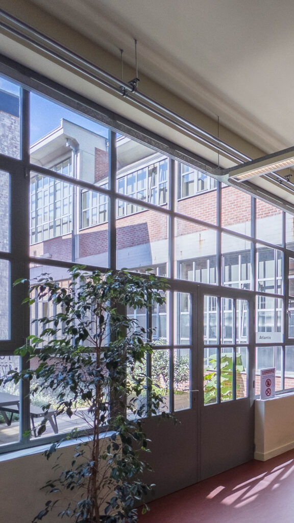 Library interior inside a converted industrial space with large windows. At the centre of the image is a window and door leading to a sunny courtyard with cafe furtniture.