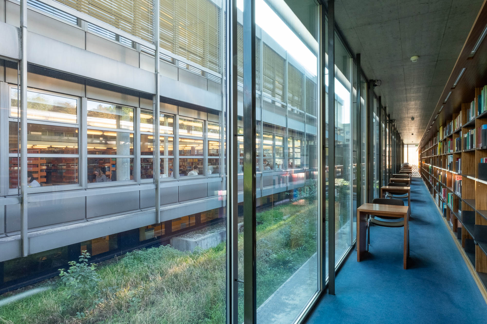 A modern library hallway with floor-to-ceiling windows, blue carpet, wooden chairs, and bookshelves on the right. The windows overlook an interior courtyard with plants and another building section visible across the way.