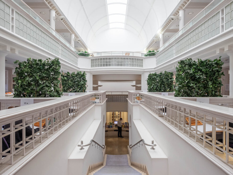 A bright, modern library interior with white walls, green plants, bookshelves, and people seated at desks on both sides. A wide staircase leads down to a lower level where a person stands near the entrance.