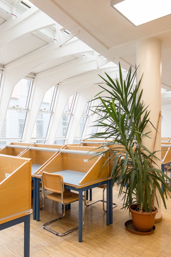 Rows of empty wooden study desks with chairs are arranged near large windows in a bright room. A tall potted plant stands beside a white pillar on a light wood floor.