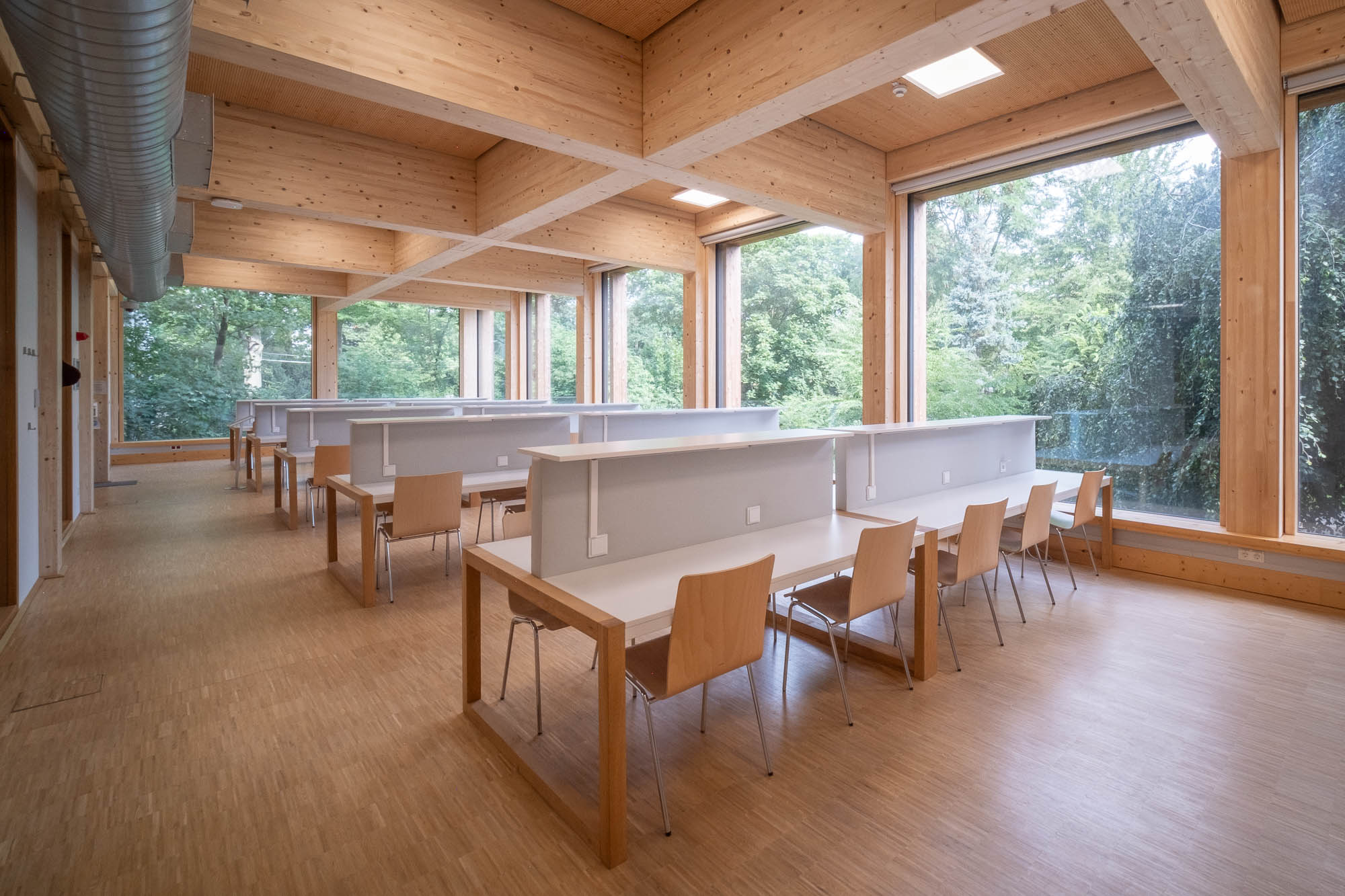 A modern, bright study area with wooden beams, light wood flooring, large windows with green trees outside, and individual white cubicles with wooden chairs. Exposed ducts run along the ceiling.
